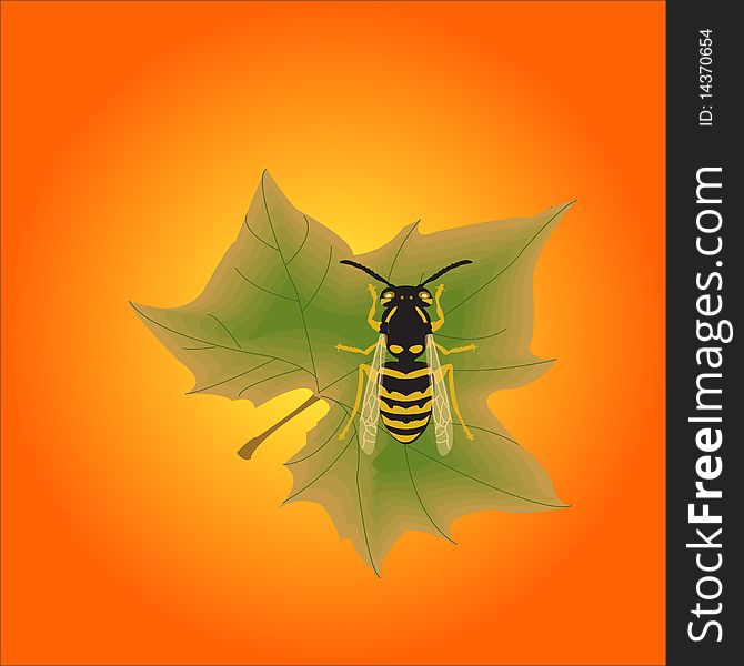 Illustration-bee sitting on a maple leaf isolated on an orange background
