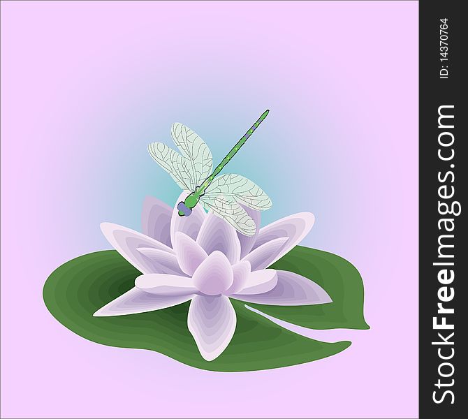 Illustration-dragon-fly on the water-lily isolated on a pink background