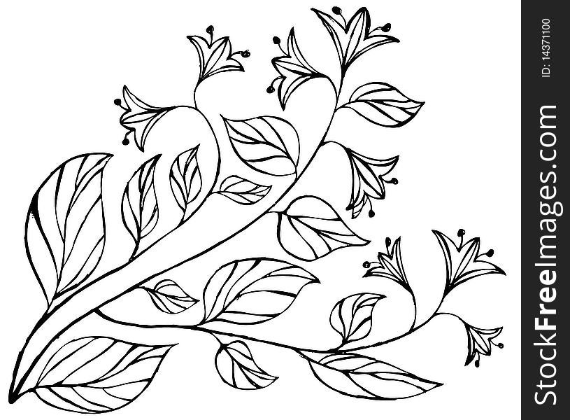 Beautiful hand drawn floral background
