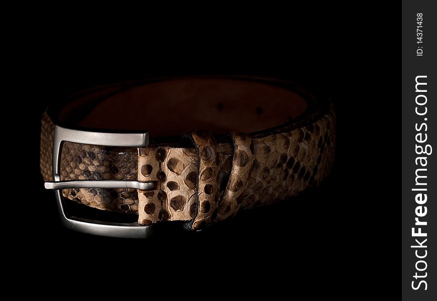 Low key image of a snake leather belt with black background. Low key image of a snake leather belt with black background.