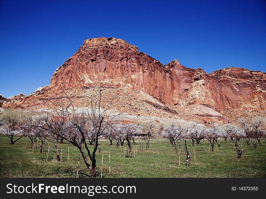 View of the red rock formations in Capitol Reef National Park with blue sky�s and clouds