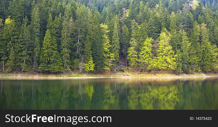 Panoramic view on a forest lake shore with water reflection