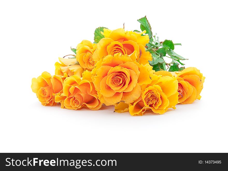 Bouquet of orange roses on a white background
