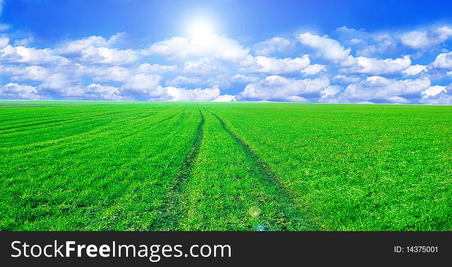 Green field and blue sky conceptual image. Panorama of green field and sky in summer.