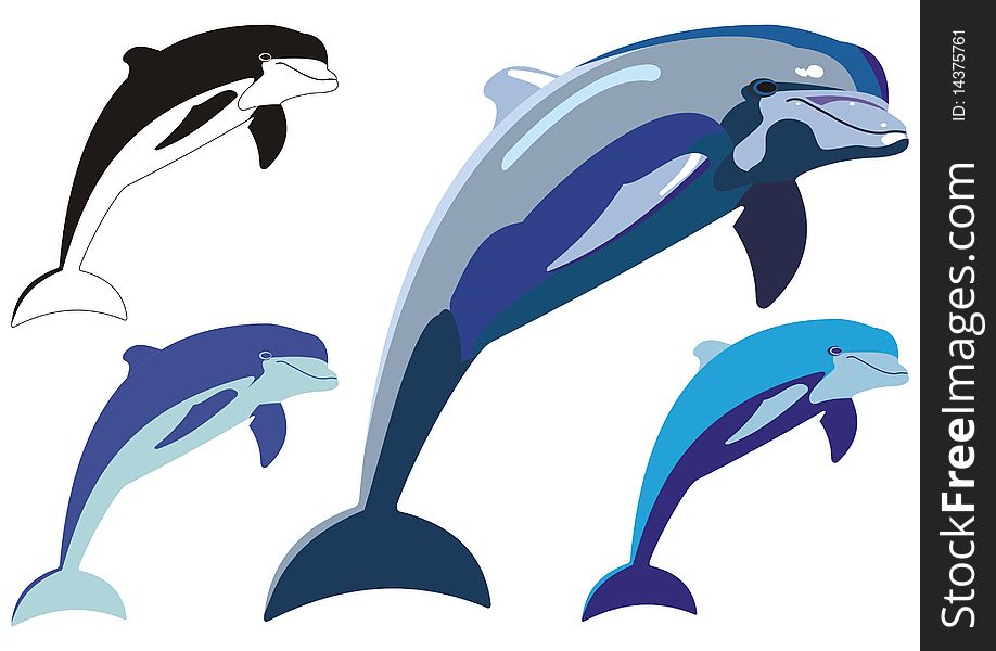 Illustration of four, dolphins in two three and many colors. Illustration of four, dolphins in two three and many colors