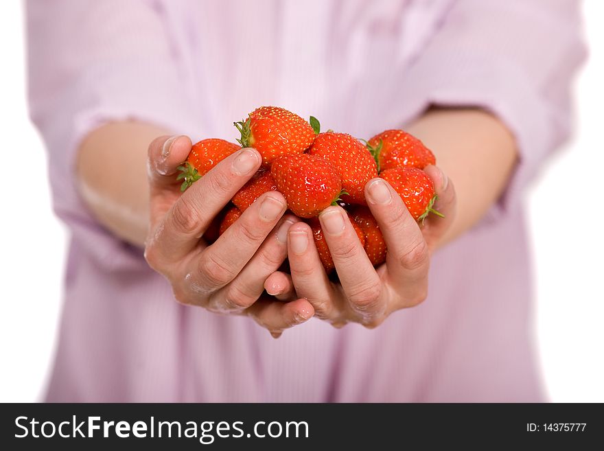 Young female hands holds strawberries, with body blurred at the background, all isolated on white. Young female hands holds strawberries, with body blurred at the background, all isolated on white