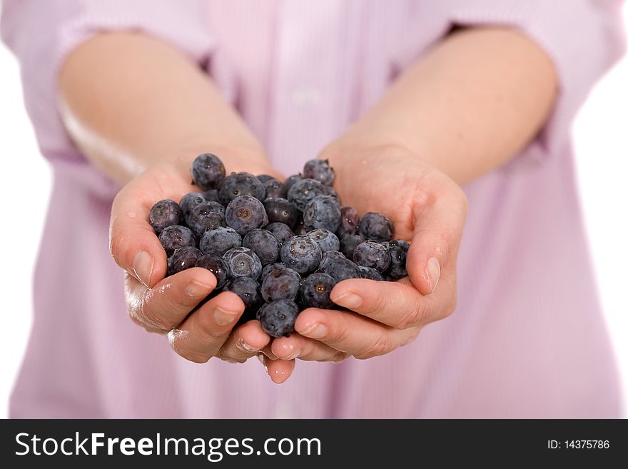 Young female hands full of blueberries, all isolated on white background