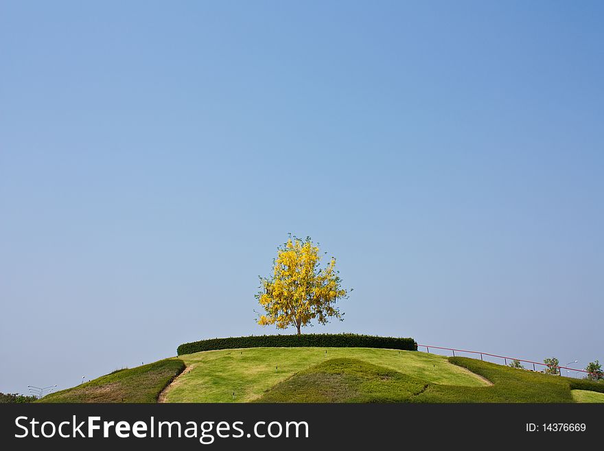 A Tree On A Small Hill