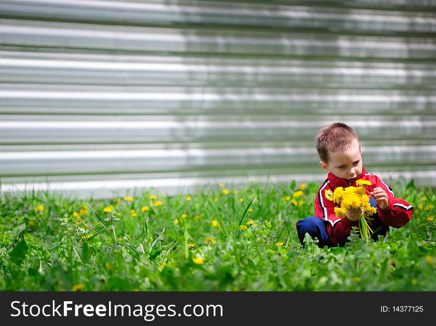 The boy near a fence collects flowers. The boy near a fence collects flowers