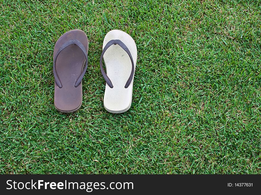Shoes On The Grass.