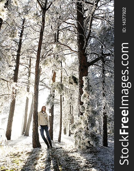 Young beautiful woman standing in glowing frosted winter forest during sunset. Young beautiful woman standing in glowing frosted winter forest during sunset