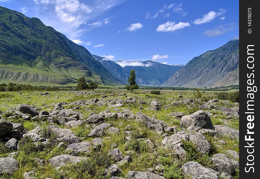 Stones and alone trees in the mountains