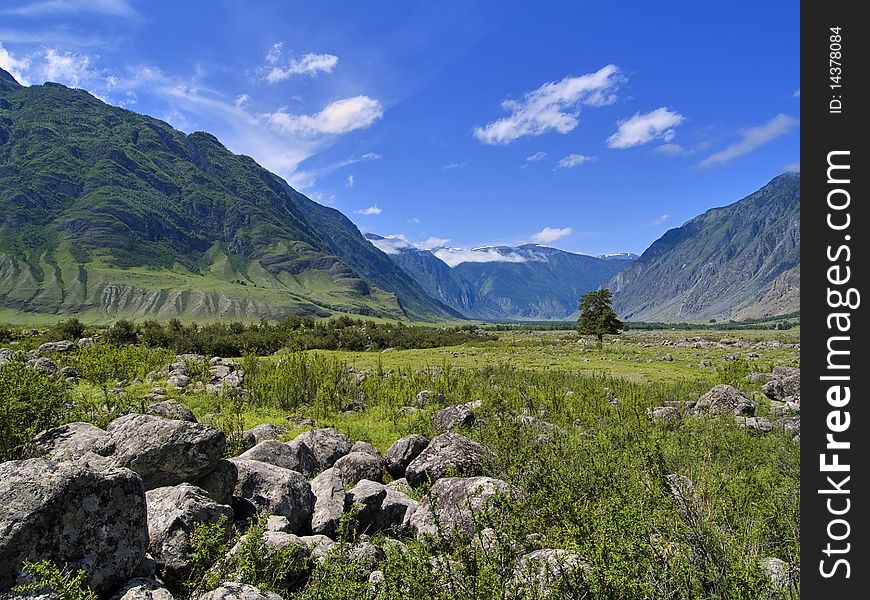 Stones and alone tree in the mountains