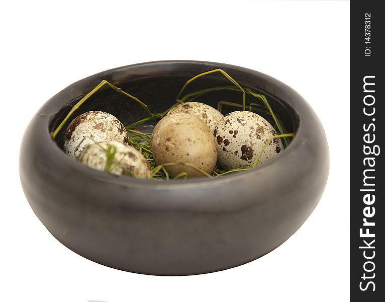 Egg of a bird in a box isolated on the white
