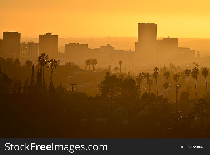 View toward Downtown Los Angeles at sunset viewed from Elysian Park, near Dodger Stadium.  The palm trees and the building silhouettes reflect against the yellow and orange sky as dusk approached. View toward Downtown Los Angeles at sunset viewed from Elysian Park, near Dodger Stadium.  The palm trees and the building silhouettes reflect against the yellow and orange sky as dusk approached.