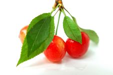 Cherry Fruits With Green Leaves Stock Photo Cherry Fruits With Green Leaves Stock Photo