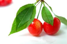 Cherry With Green Leaves Royalty Free Stock Image Cherry With Green Leaves Royalty Free Stock Image