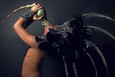 Pagan Priest In Ritual Suit With Green Iguana Royalty Free Stock Image Pagan Priest In Ritual Suit With Green Iguana Royalty Free Stock Image