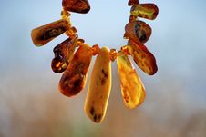Necklace Of Amber For Sunflower Stock Photography