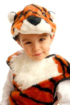 Little Boy In Fancy Dress In The Form Of Tiger Royalty Free Stock Photo