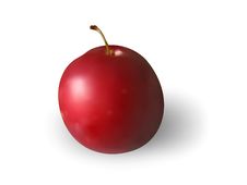 Free Plum Stock Images - 14388084