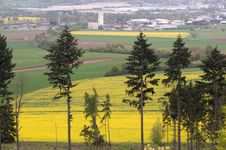 Outskirts Of Town And Canola Fields. Stock Images Outskirts Of Town And Canola Fields. Stock Images