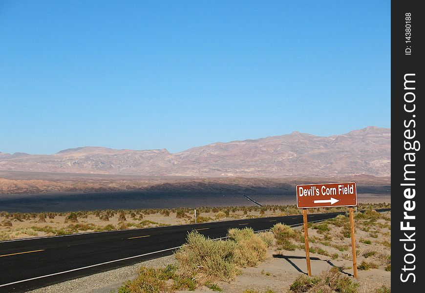 Road in Devil's Corn Field in Death Valley California