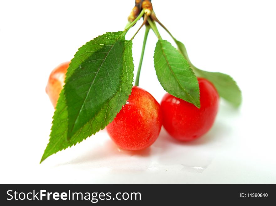 Cherry fruits with green leaves