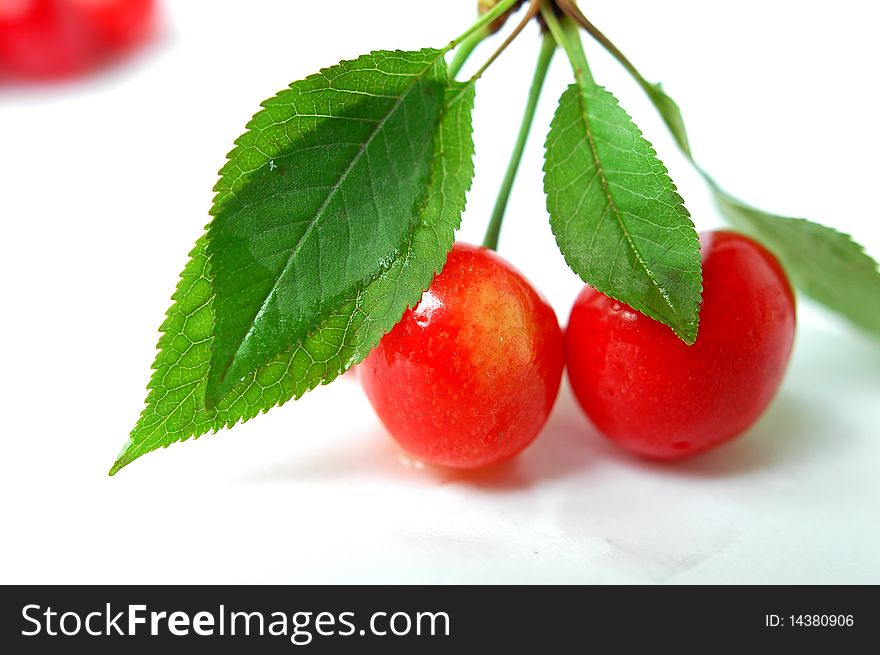 Fresh cherry fruits with leaves isolated on a white background. Fresh cherry fruits with leaves isolated on a white background