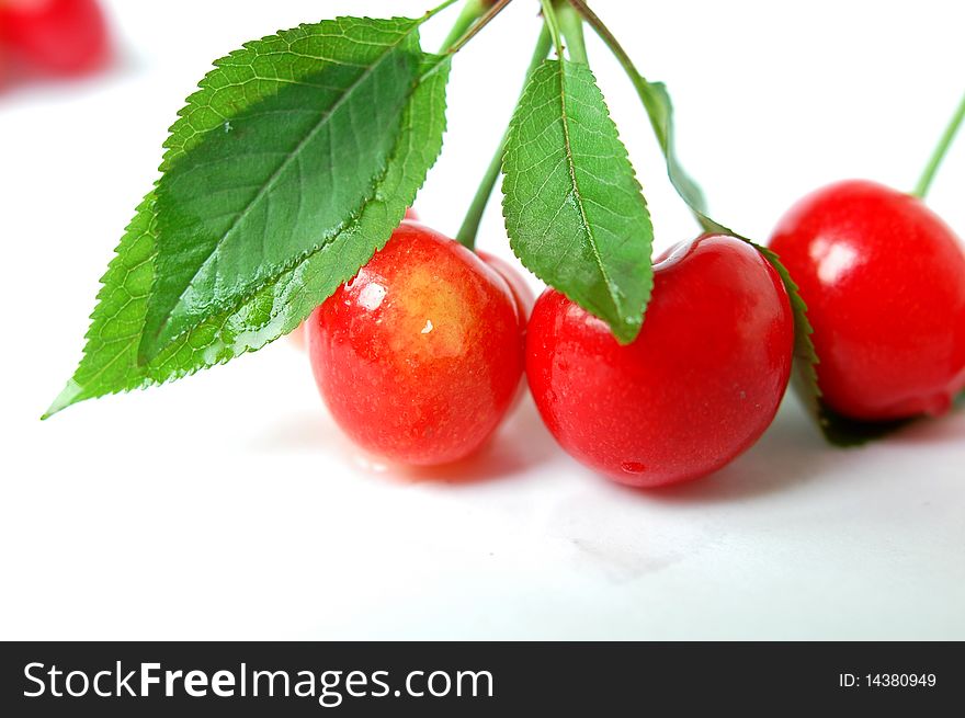 Fresh red cherry fruits with green leaves isolated on a white background. Fresh red cherry fruits with green leaves isolated on a white background