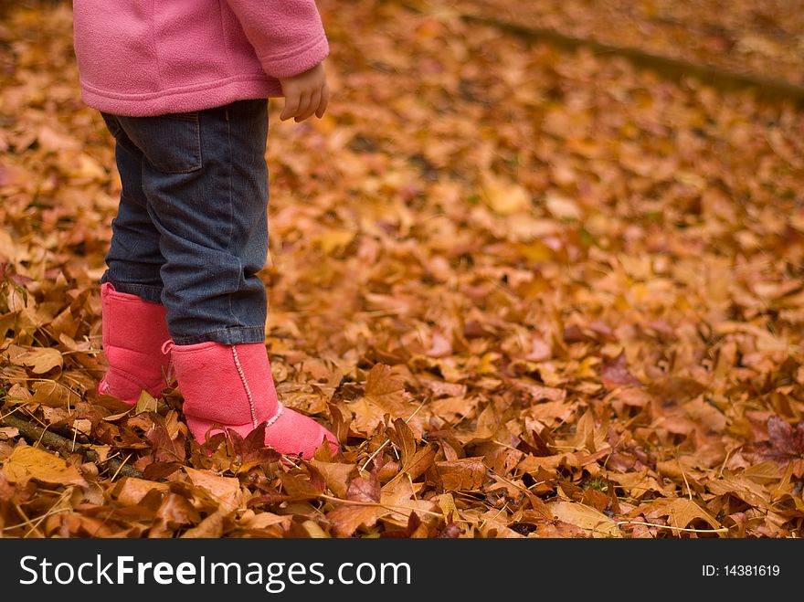 A young girl plays in Autumn leaves. A young girl plays in Autumn leaves