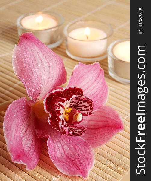 Pink orchid and burning candles. Pink orchid and burning candles