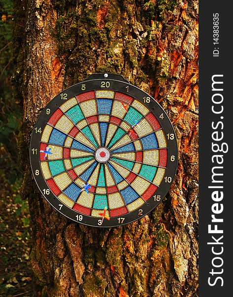 Colorful dart board on tree