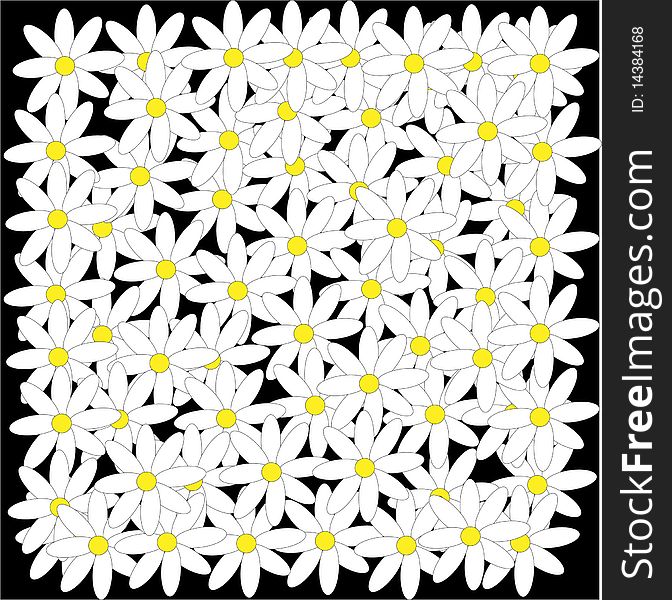 Illustration-daisies on a black background