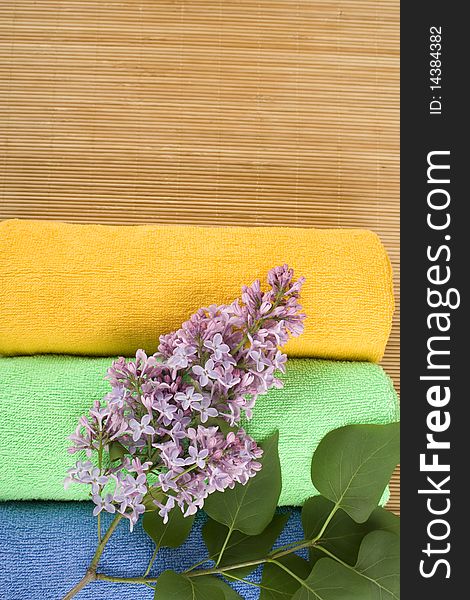 Colored towels folded lie next to them a branch of lilac. Colored towels folded lie next to them a branch of lilac