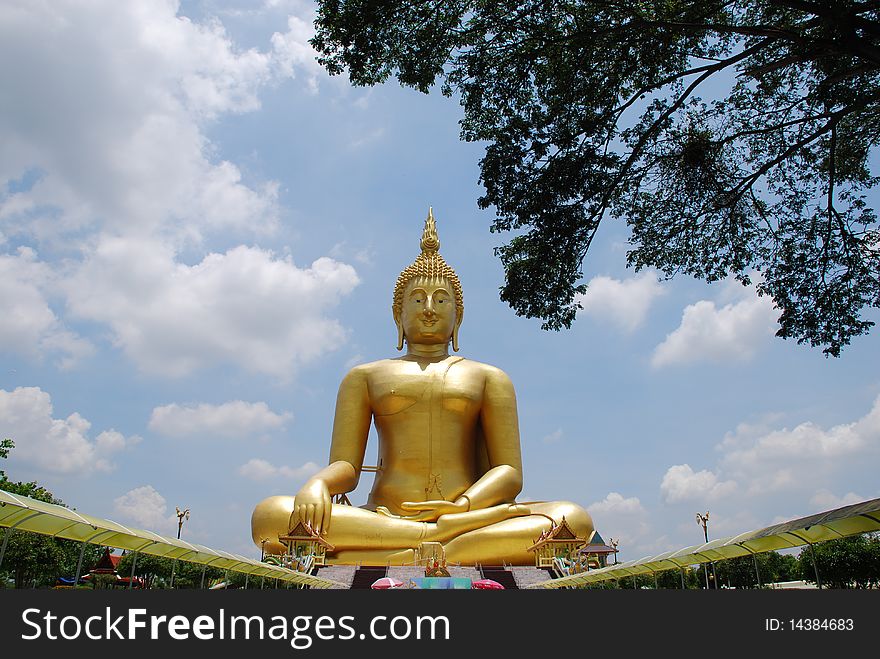 Big Buddha image ang big tree at temple in Thailand.