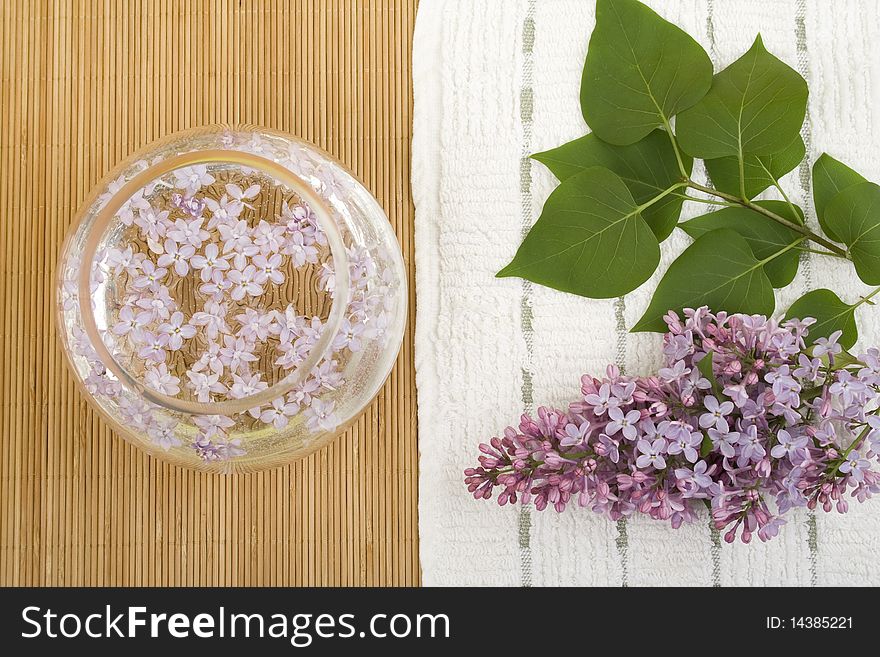 Scenery. A branch of lilacs near the bowl with water in which floated flowers. Scenery. A branch of lilacs near the bowl with water in which floated flowers