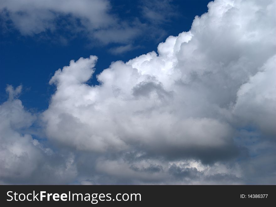 White clouds a blue sky. White clouds a blue sky