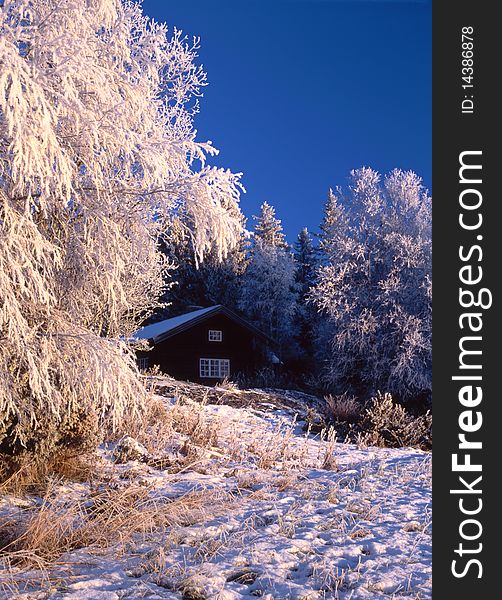 Beautiful winter landscape with Wintry cottage