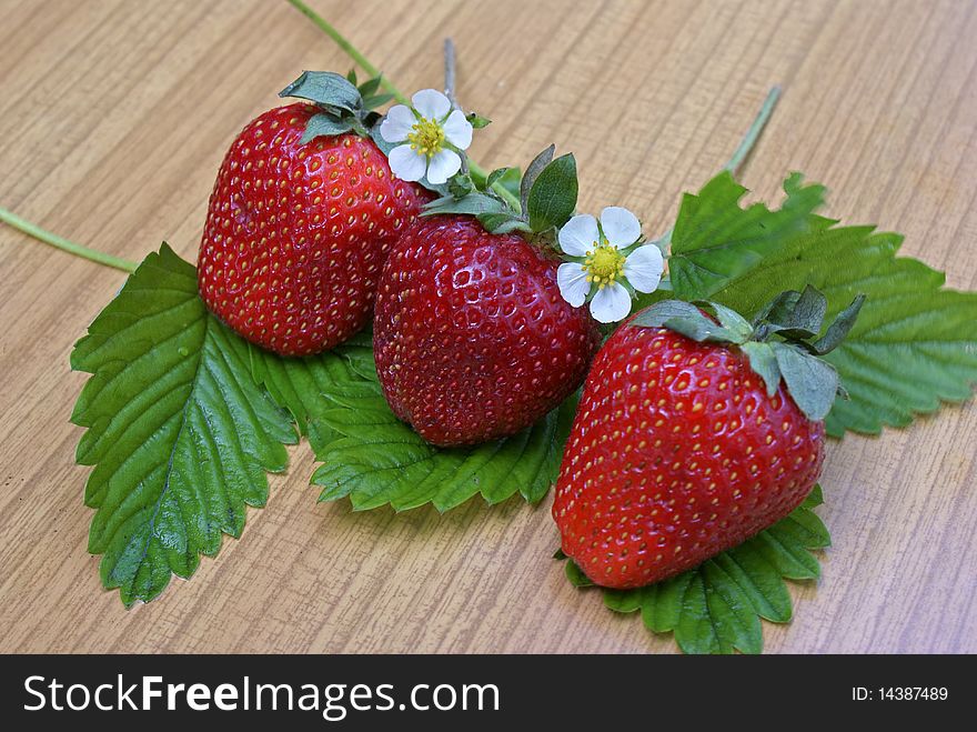 Ripe strawberries grow upon yours garden lot summer