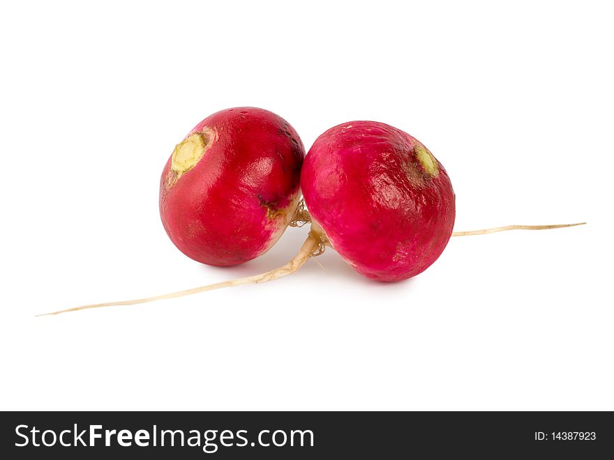 Fresh radishes isolated on a white background