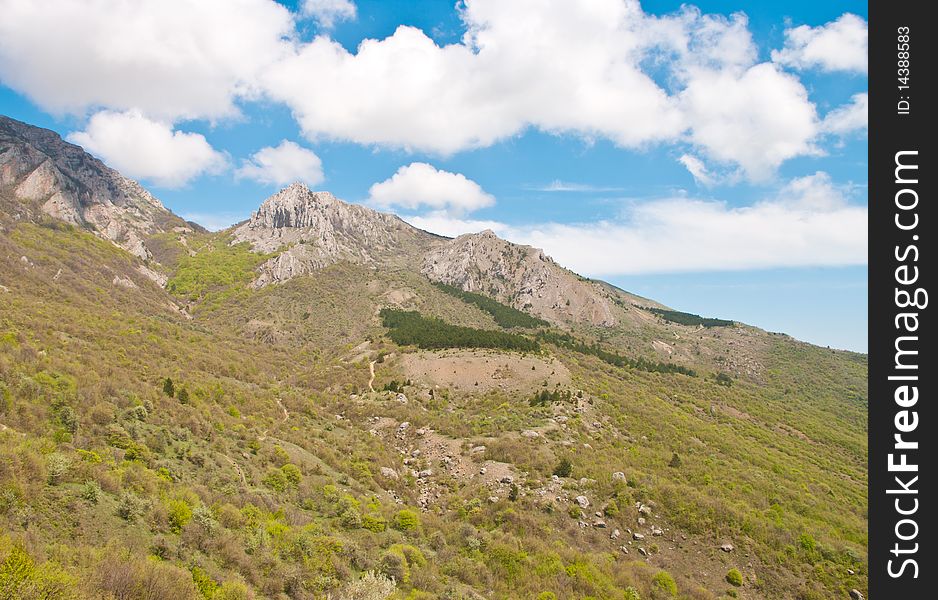 The view of Crimean mountains in summer. The view of Crimean mountains in summer