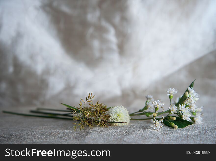 White wild flower and green grass or reed on golden silver fabric luxury background