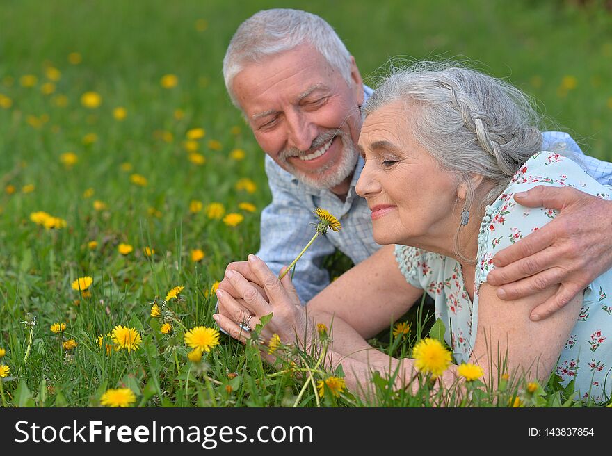 Happy Senior Couple Lying On Green Meadow