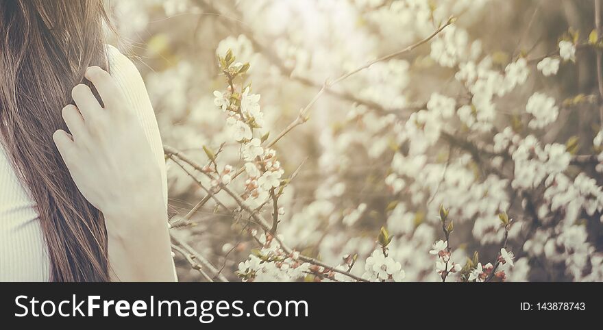 Beautiful Girl With Spring Cherry Flowers, Sunshine Backlit.