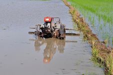 Pluogh Machine In The Paddy Field Royalty Free Stock Images
