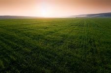 Green Field With Perfect Grass Stock Images Green Field With Perfect Grass Stock Images