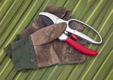 Secateurs And Old Gardening Gloves Stock Image Secateurs And Old Gardening Gloves Stock Image