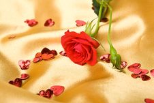 Red Roses On Golden Satin Stock Photo Red Roses On Golden Satin Stock Photo