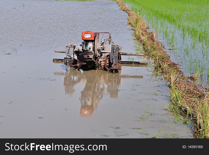Pluogh Machine In The Paddy Field